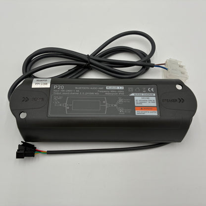 Bluetooth Audio-System AMP P20