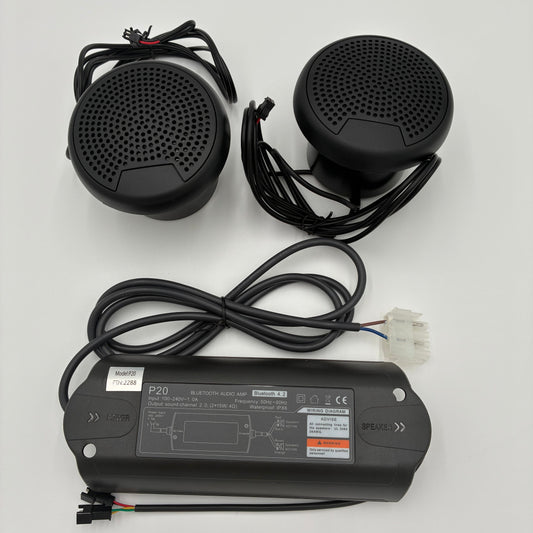 Bluetooth Audio-System AMP P20